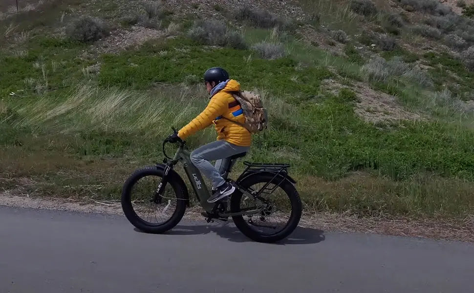 Lacros Thunder adult E-bike,750W city ebike,48V20AH Electric Bicycle,26 Fat Tire E-Mountain bike