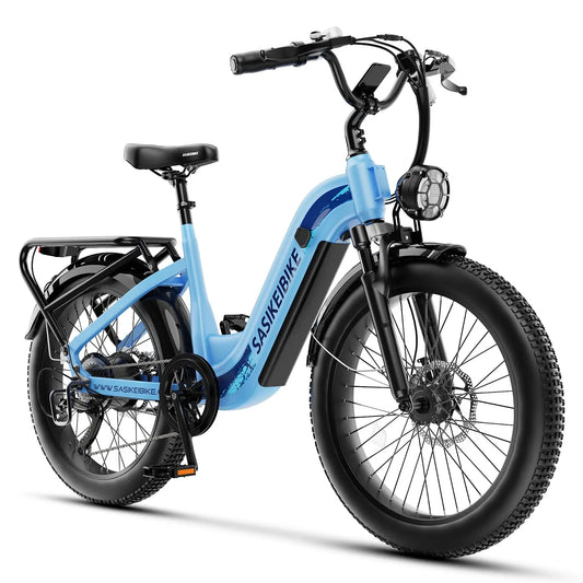 1500W Motor Peak Electric Bike for Adults and Teenagers, 48V 20AH Removable Battery Step Thru EBike, 30+MPH, 80, Customized