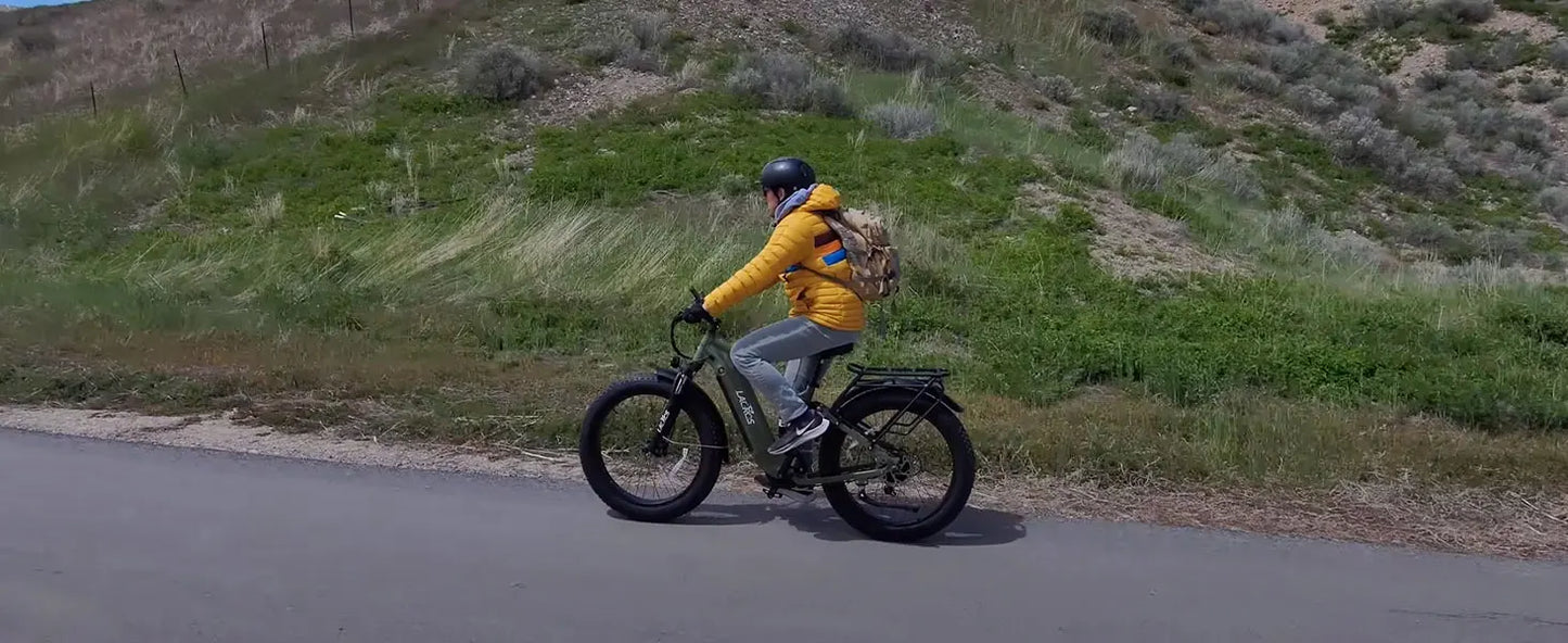 Lacros Thunder adult E-bike，750W city ebike，48V20AH Electric Bicycle，26 Fat Tire E-Mountain bike