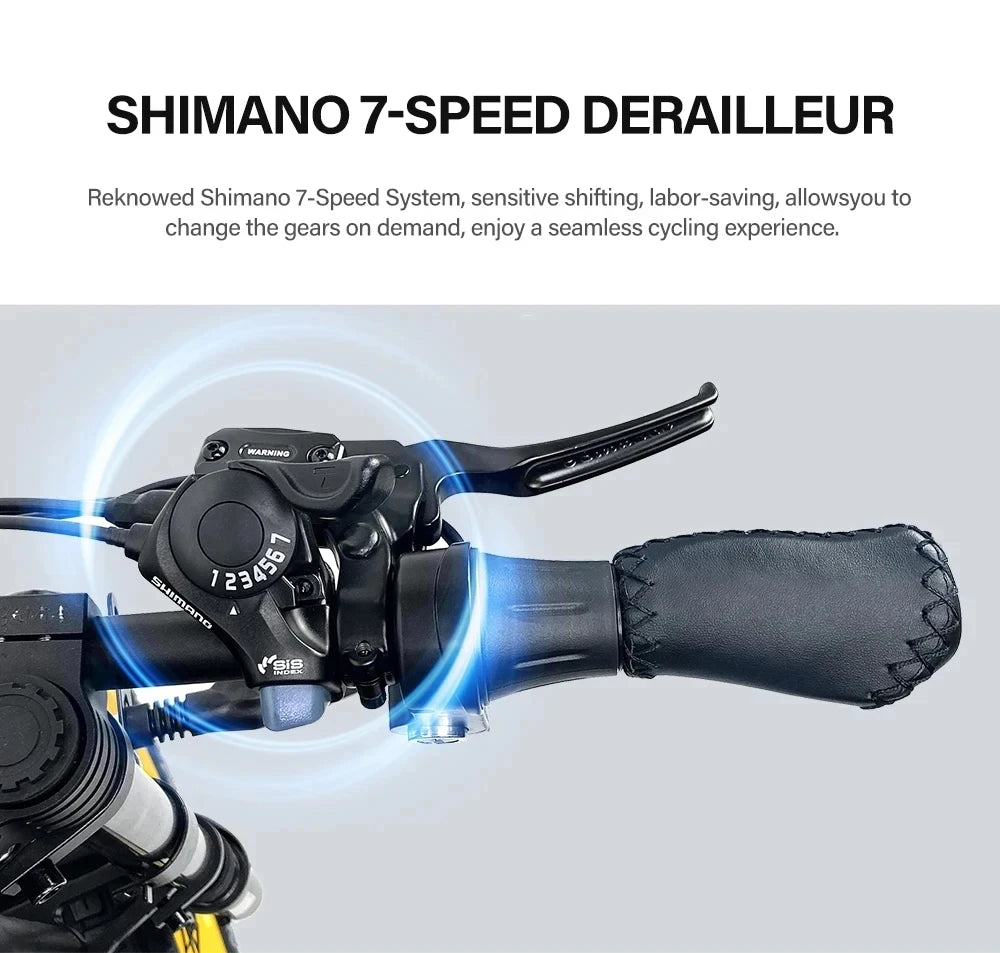 Coswheel Electric bike Dual Motor GT20 Pro/GT20 3000W 48V 40AH Mountain bikes Electric Off Road Bike Fat Tires Motorcycle Ebike