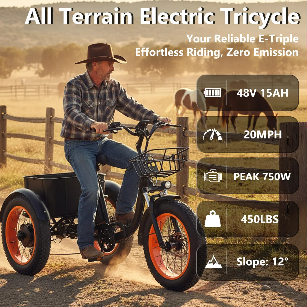 Powerful  Peak 750W 48V15AH Versatile Electric Tricycle for Adults, Stable 3 Wheel E-Bike for Daily Commute, Riding and Shopping