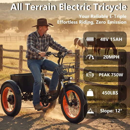 Powerful  Peak 750W 48V15AH Versatile Electric Tricycle for Adults, Stable 3 Wheel E-Bike for Daily Commute, Riding and Shopping