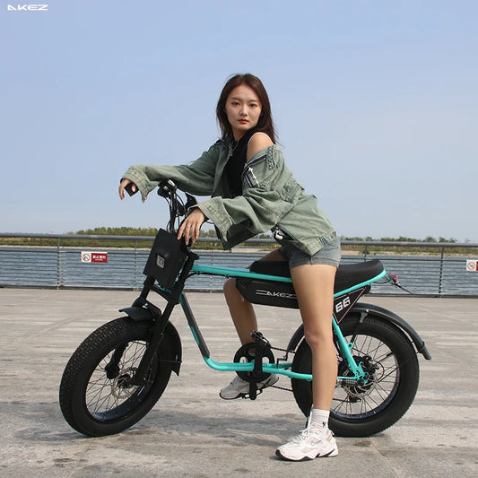 US Stock 🔥 AKEZ 750W Retro Electric Bike - 48V 13Ah Battery, 20'' Fat Tire E-Bike, Vintage Style Bicycle for Adults