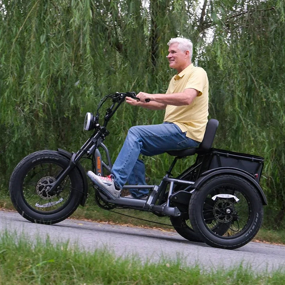 High Power Remote Dual Motor Dual Battery 3 Wheel E Cargo Tricycle Adult Sand Snow Fat Tire Electric Delivery Tricycle