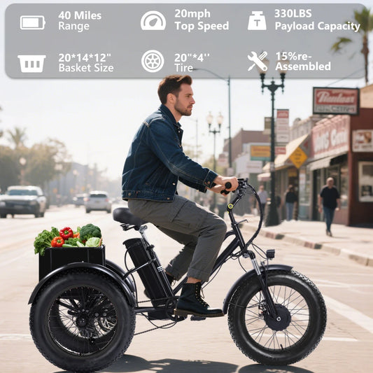 Electric Tricycle for Adults,700W Electric Trike,Electric Bicycle,20"x4.0"Fat Tire Electric Trike Fat Tire 3 Wheel electric bike