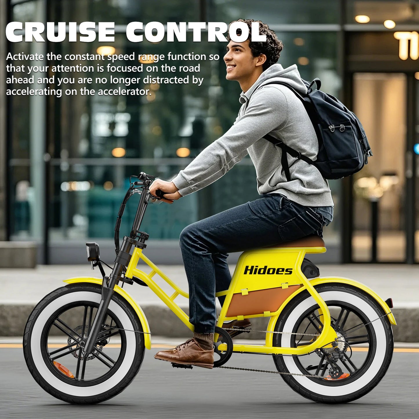 HD-C8 E-Bike 700W Motor 48V17Ah Removable Battery City Electric Bicycle Aldult 20*4.0-inch Fat Tires All Terrain Electric Bike