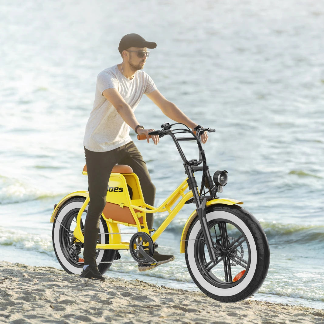 HD-C8 E-Bike 700W Motor 48V17Ah Removable Battery City Electric Bicycle Aldult 20*4.0-inch Fat Tires All Terrain Electric Bike