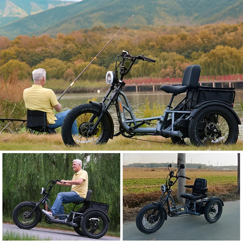 High Power Remote Dual Motor Dual Battery 3 Wheel E Cargo Tricycle Adult Sand Snow Fat Tire Electric Delivery Tricycle