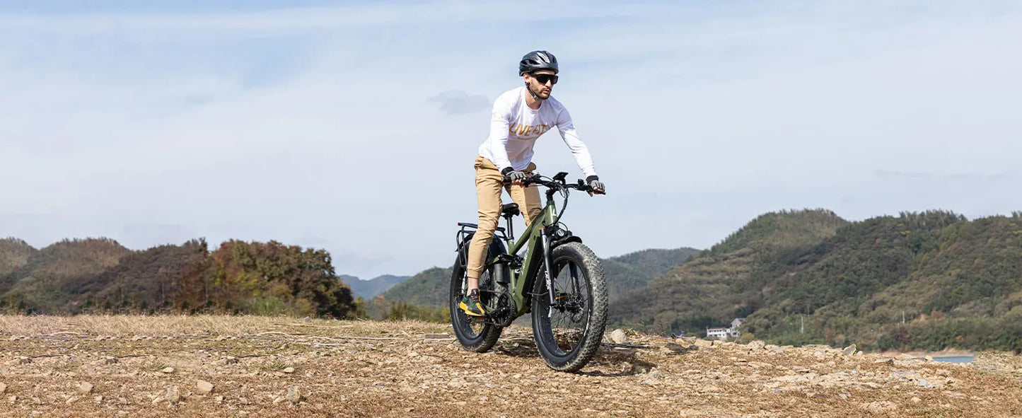 Lacros Thunder adult E-bike，750W city ebike，48V20AH Electric Bicycle，26 Fat Tire E-Mountain bike