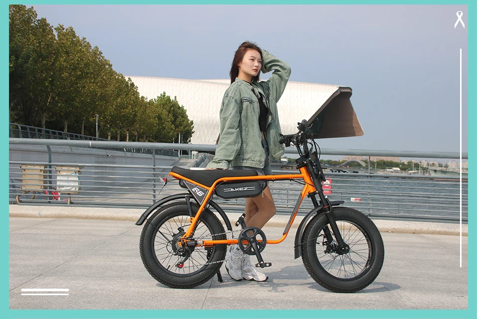 US Stock 🔥 AKEZ 750W Retro Electric Bike - 48V 13Ah Battery, 20'' Fat Tire E-Bike, Vintage Style Bicycle for Adults