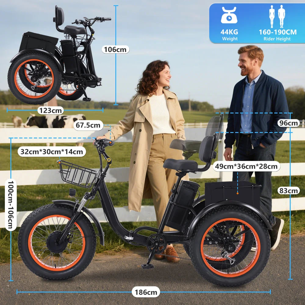 Powerful  Peak 750W 48V15AH Versatile Electric Tricycle for Adults, Stable 3 Wheel E-Bike for Daily Commute, Riding and Shopping