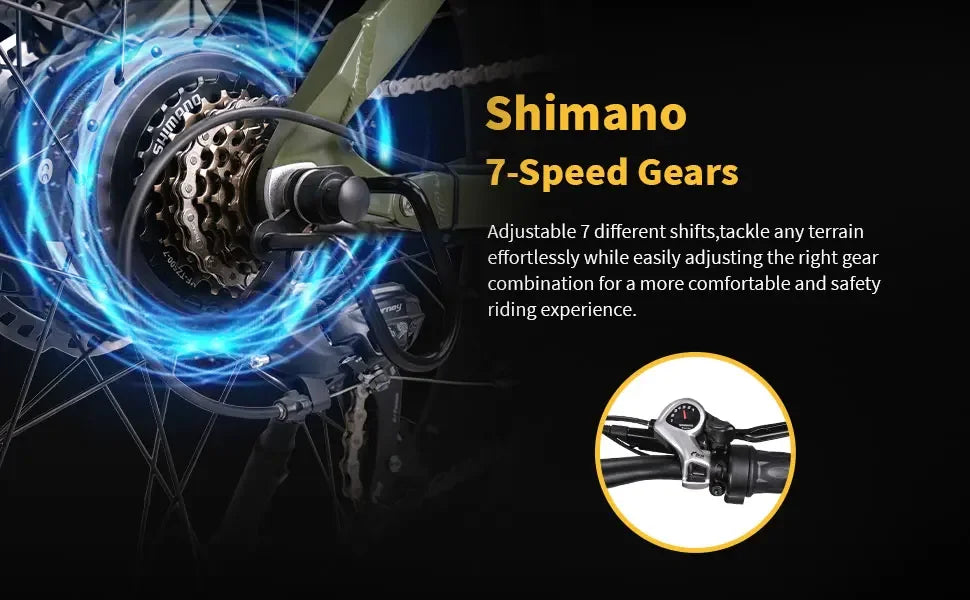 Lacros Thunder adult E-bike，750W city ebike，48V20AH Electric Bicycle，26 Fat Tire E-Mountain bike