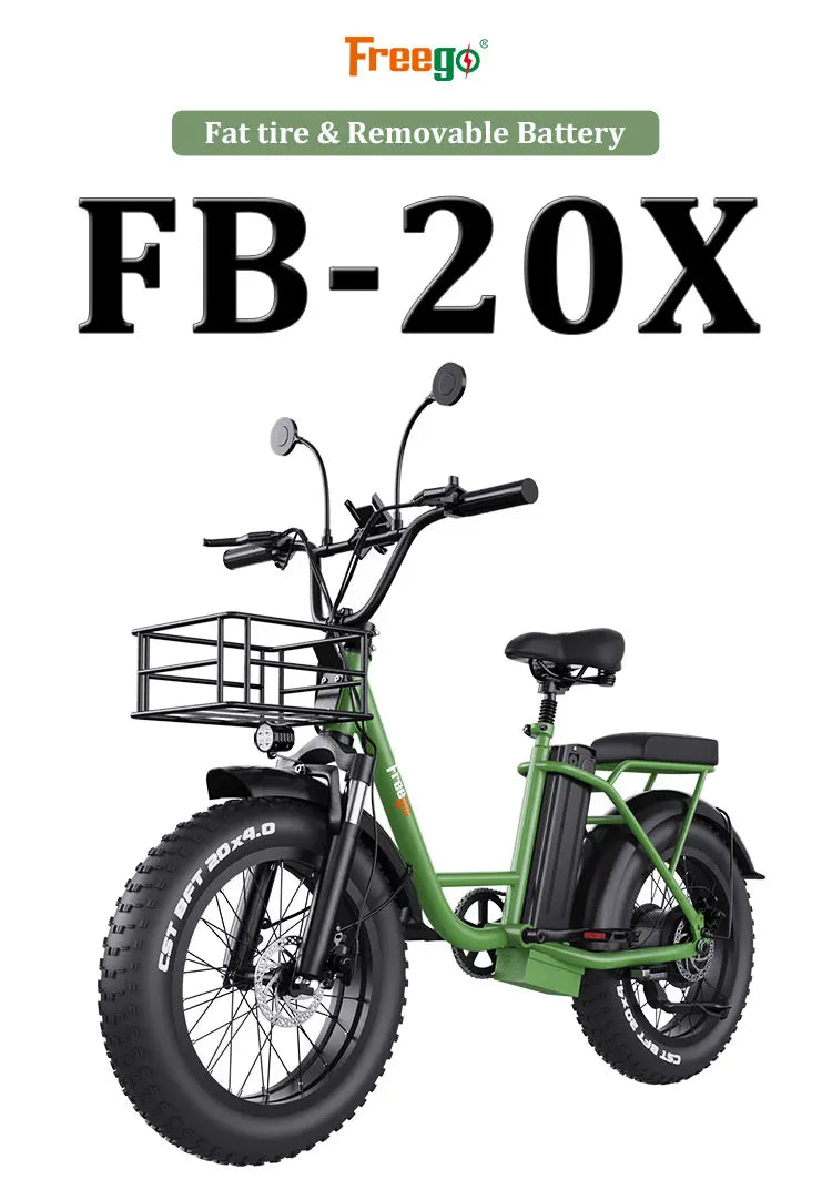 Freego Electric Dirt Bike for Adults 20" x 4 Fat Tire Electric Bicycle 48V 25AH Battery with Front and Rear Cargo Rack 2 Seater