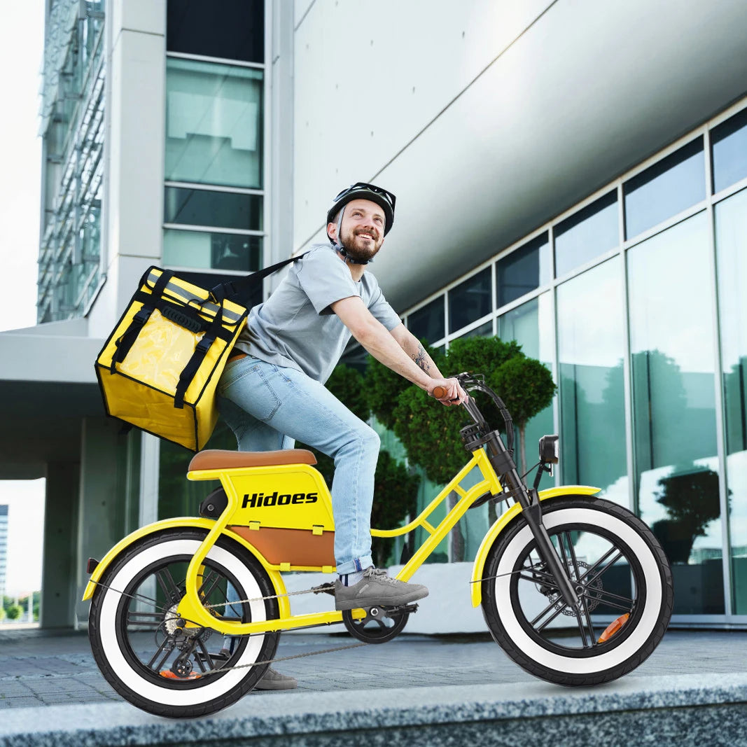 HD-C8 E-Bike 700W Motor 48V17Ah Removable Battery City Electric Bicycle Aldult 20*4.0-inch Fat Tires All Terrain Electric Bike