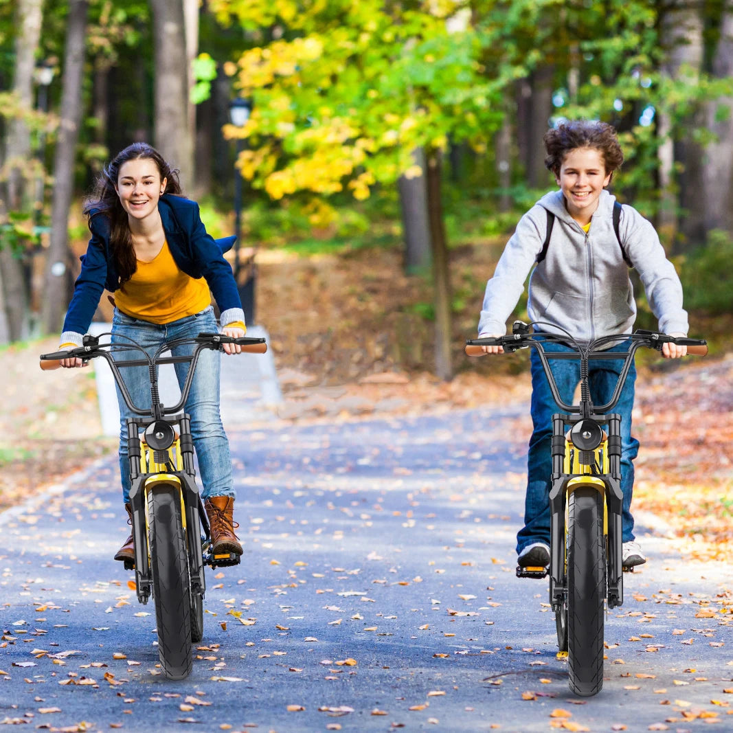 HD-C8 E-Bike 700W Motor 48V17Ah Removable Battery City Electric Bicycle Aldult 20*4.0-inch Fat Tires All Terrain Electric Bike