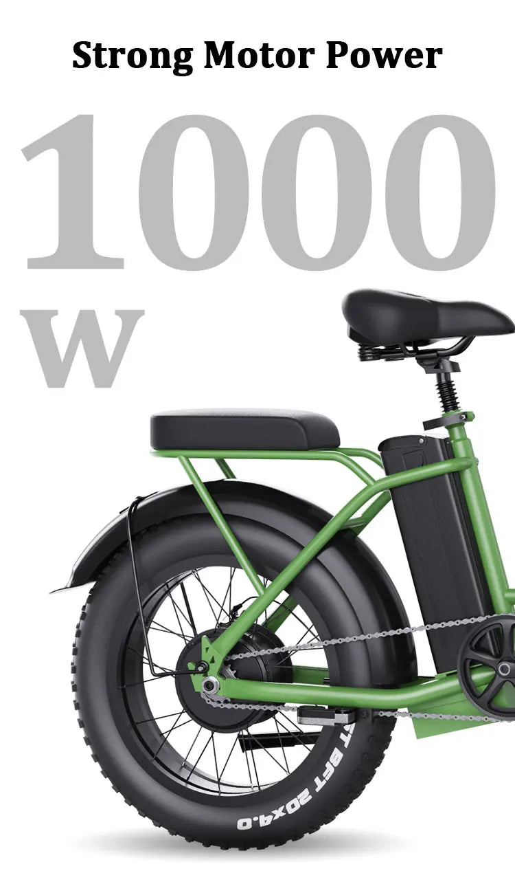 Freego Electric Dirt Bike for Adults 20" x 4 Fat Tire Electric Bicycle 48V 25AH Battery with Front and Rear Cargo Rack 2 Seater