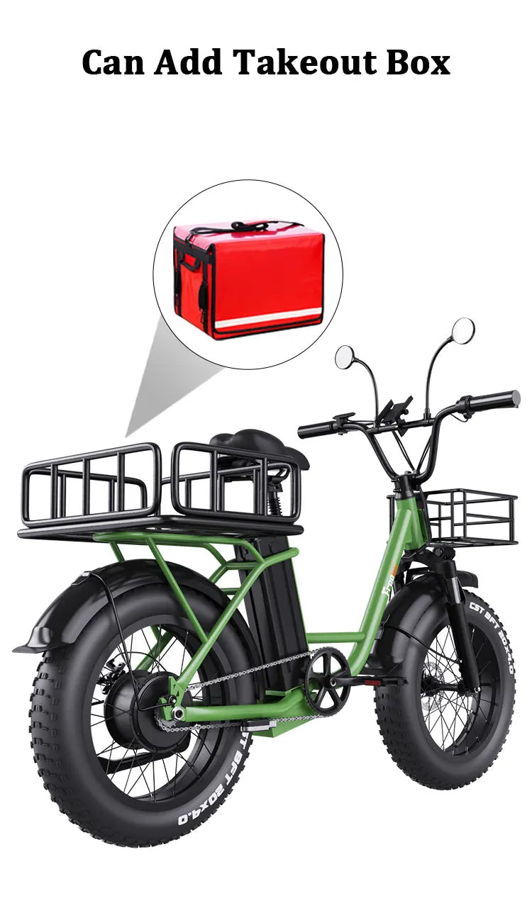 Freego Electric Dirt Bike for Adults 20" x 4 Fat Tire Electric Bicycle 48V 25AH Battery with Front and Rear Cargo Rack 2 Seater