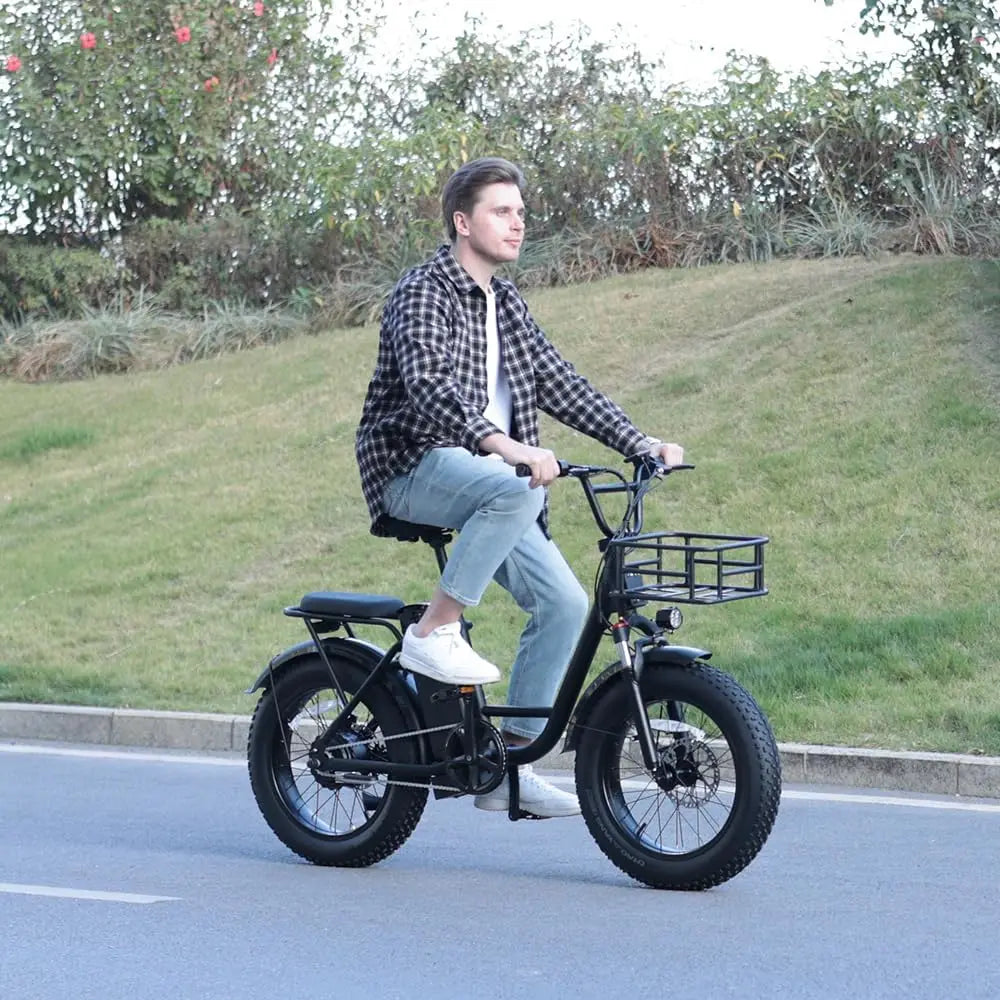 Freego Electric Dirt Bike for Adults 20" x 4 Fat Tire Electric Bicycle 48V 25AH Battery with Front and Rear Cargo Rack 2 Seater