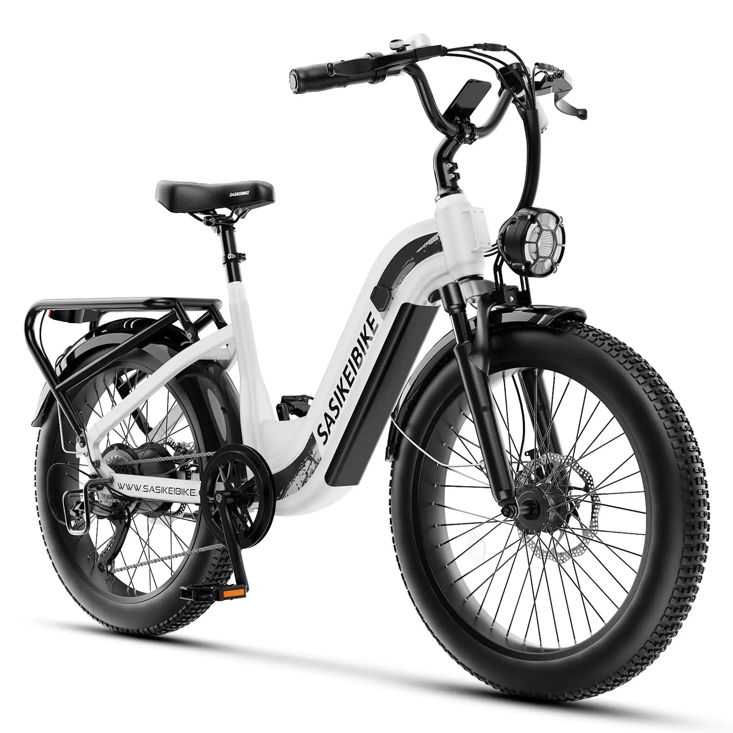 1500W Motor Peak Electric Bike for Adults and Teenagers, 48V 20AH Removable Battery Step Thru EBike, 30+MPH, 80, Customized