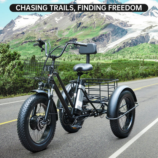 Artudatech 500W 48V 13A Electric Snow Tricycle 3 wheel e-bike 4.0 Fat Tire Tricycle