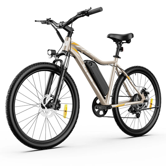 5TH WHEEL AB17 Electric Bike, 700W Peak Motor, 23 Mph Max Speed, Color LCD Display, Front Suspension (Gray)