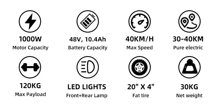 Freego Electric Dirt Bike for Adults 20" x 4 Fat Tire Electric Bicycle 48V 25AH Battery with Front and Rear Cargo Rack 2 Seater