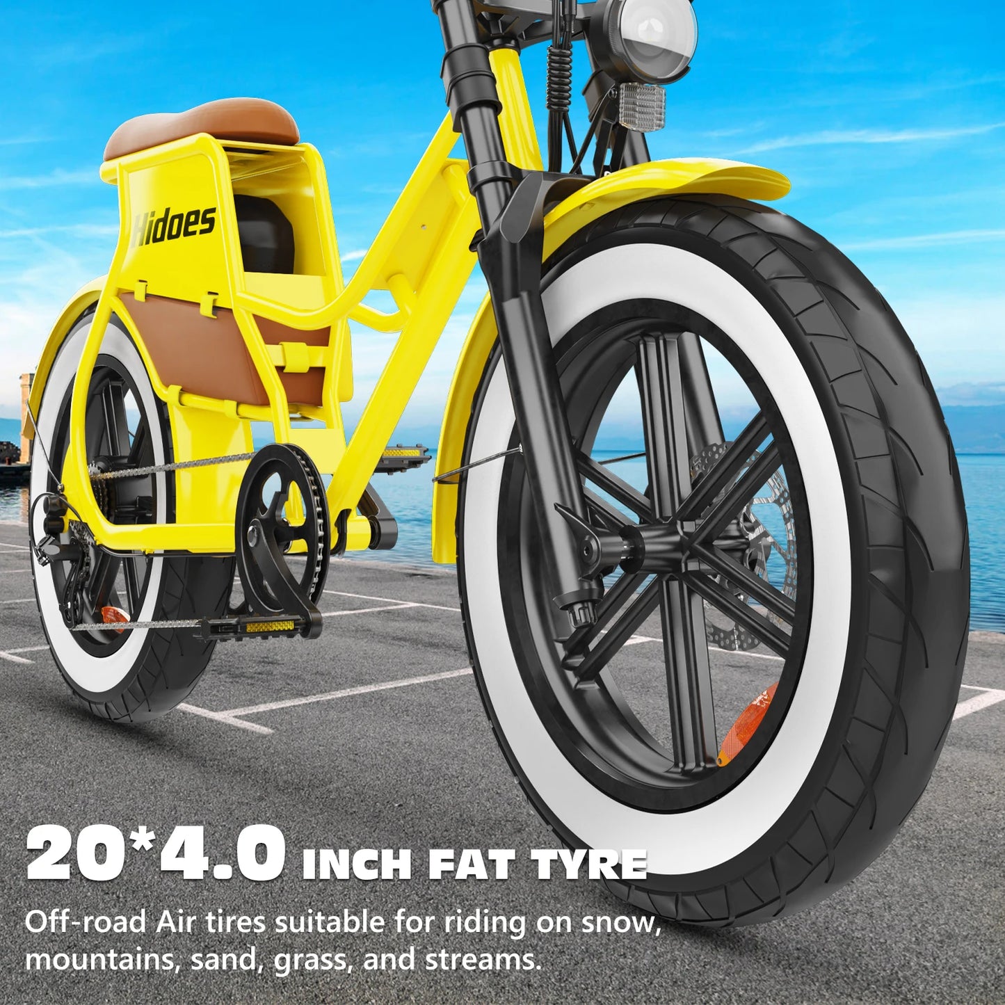 HD-C8 E-Bike 700W Motor 48V17Ah Removable Battery City Electric Bicycle Aldult 20*4.0-inch Fat Tires All Terrain Electric Bike