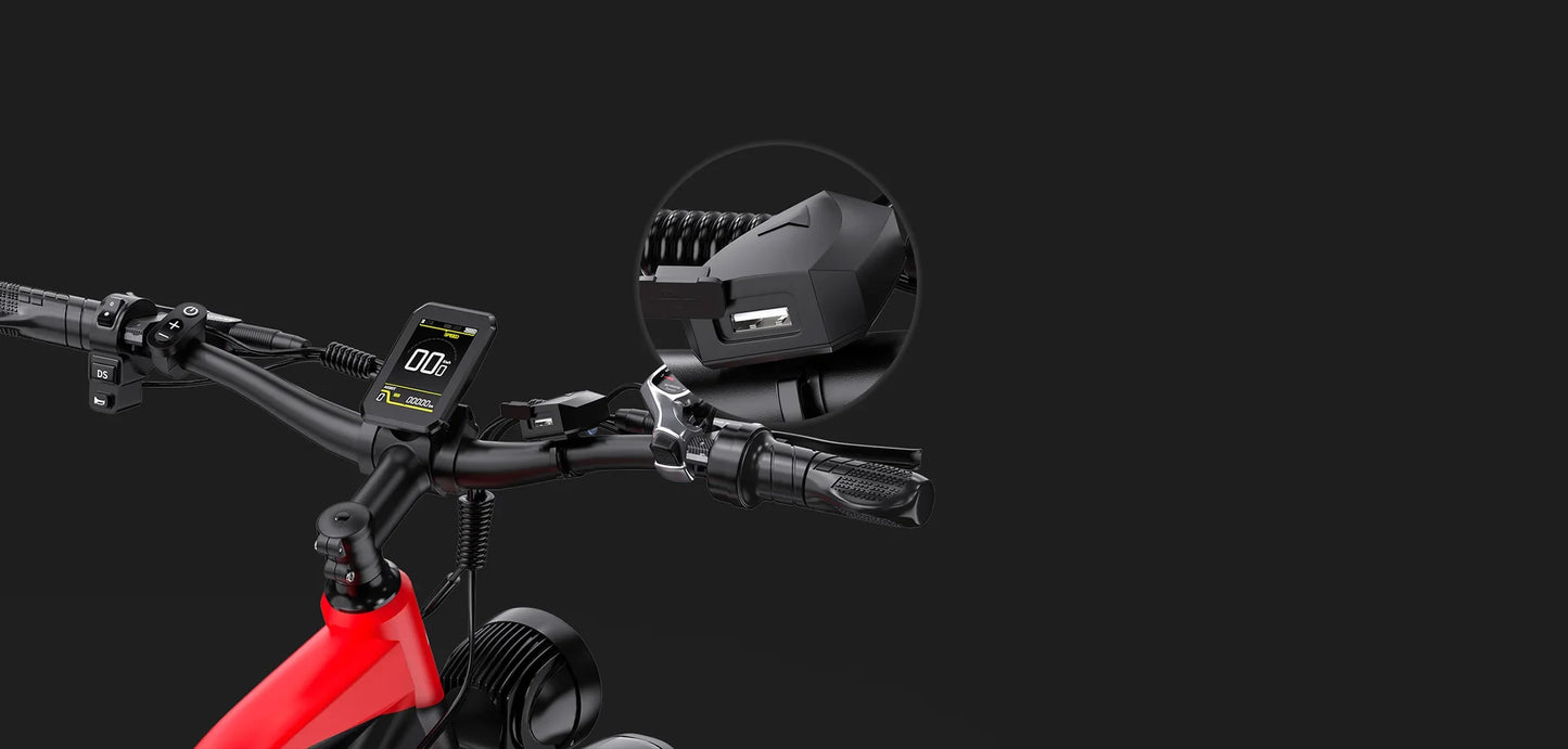 Electric Bike For Adult DUOTTS F26 26x4.0" 750Wx2,70Mile,48V 20AH,Top SPeed 15Mph,65*2Nm,Commuter Off-road Electric Bike,New