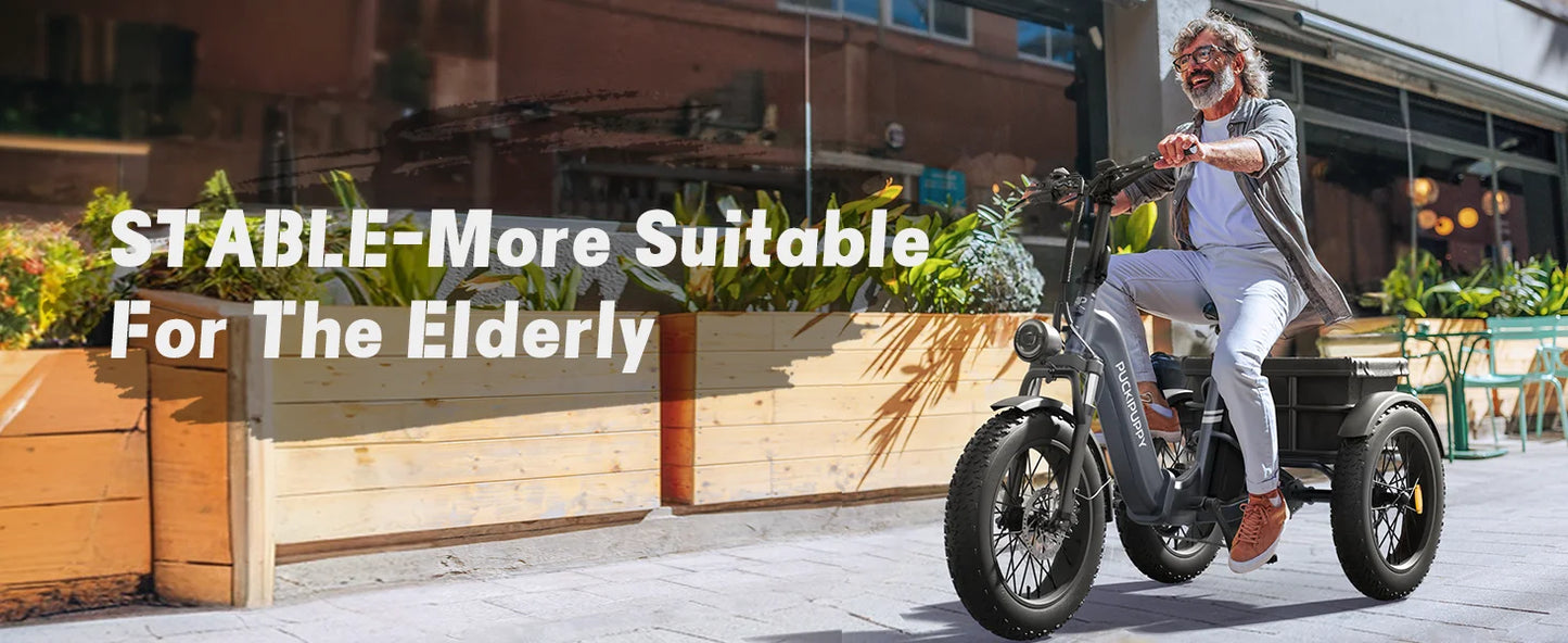 PUCKIPUPPY Electric Tricycle for Adult with 960W Peak Motor 60 Miles Range Pickup Class Trike 500 Lbs Load Electric Trike