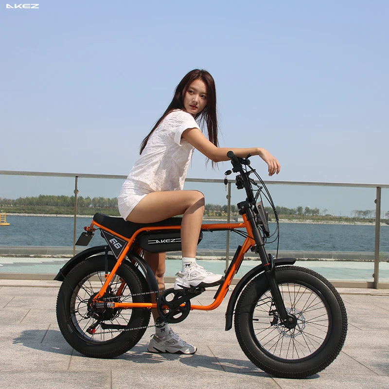 US Stock 🔥 AKEZ 750W Retro Electric Bike - 48V 13Ah Battery, 20'' Fat Tire E-Bike, Vintage Style Bicycle for Adults