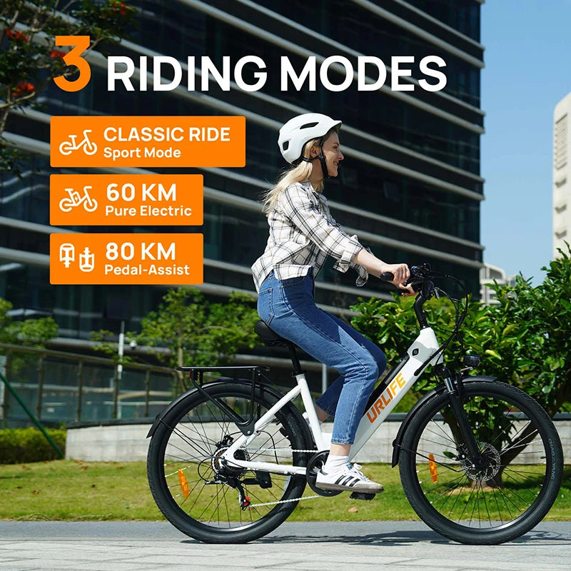 Electric Bike 250W Brushless Motor 36V13AH Lithium Battery High Carbon Steel Frame Electric Bicycle 26inch Off-road Tire E-bike