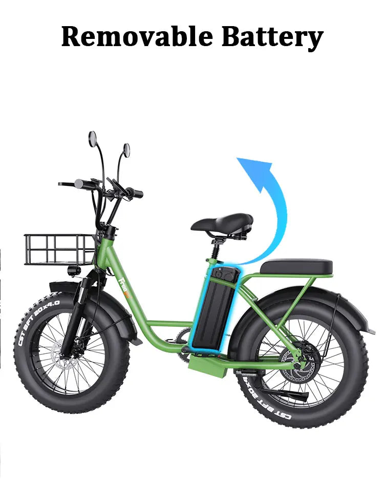 Freego Electric Dirt Bike for Adults 20" x 4 Fat Tire Electric Bicycle 48V 25AH Battery with Front and Rear Cargo Rack 2 Seater