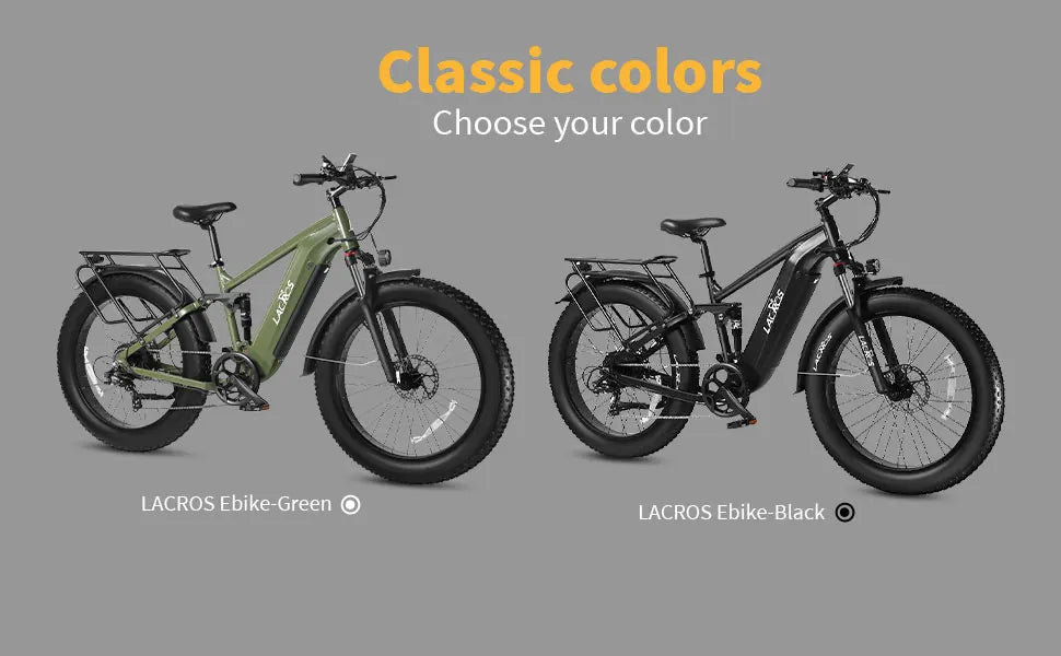 Lacros Thunder adult E-bike，750W city ebike，48V20AH Electric Bicycle，26 Fat Tire E-Mountain bike