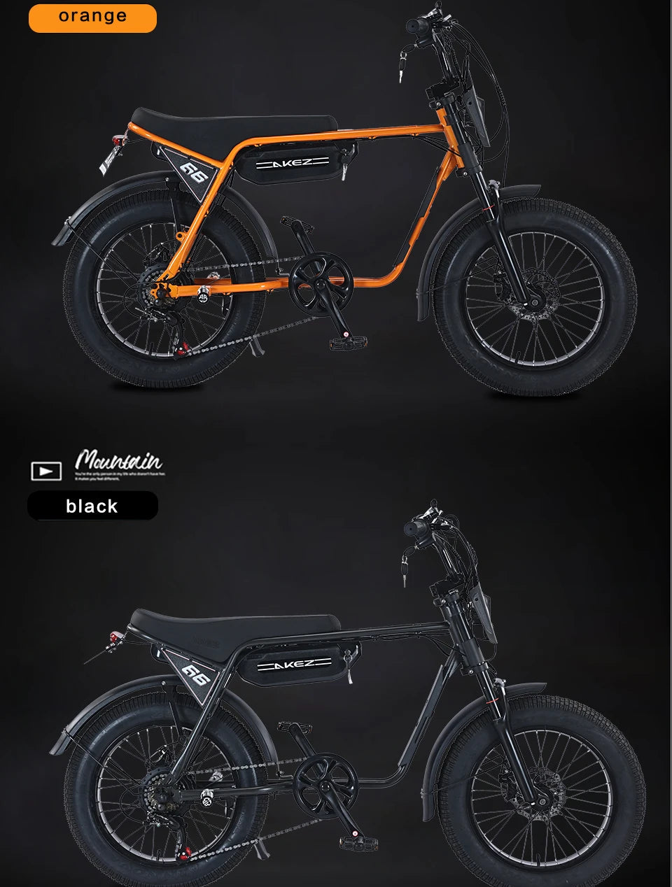US Stock 🔥 AKEZ 750W Retro Electric Bike - 48V 13Ah Battery, 20'' Fat Tire E-Bike, Vintage Style Bicycle for Adults