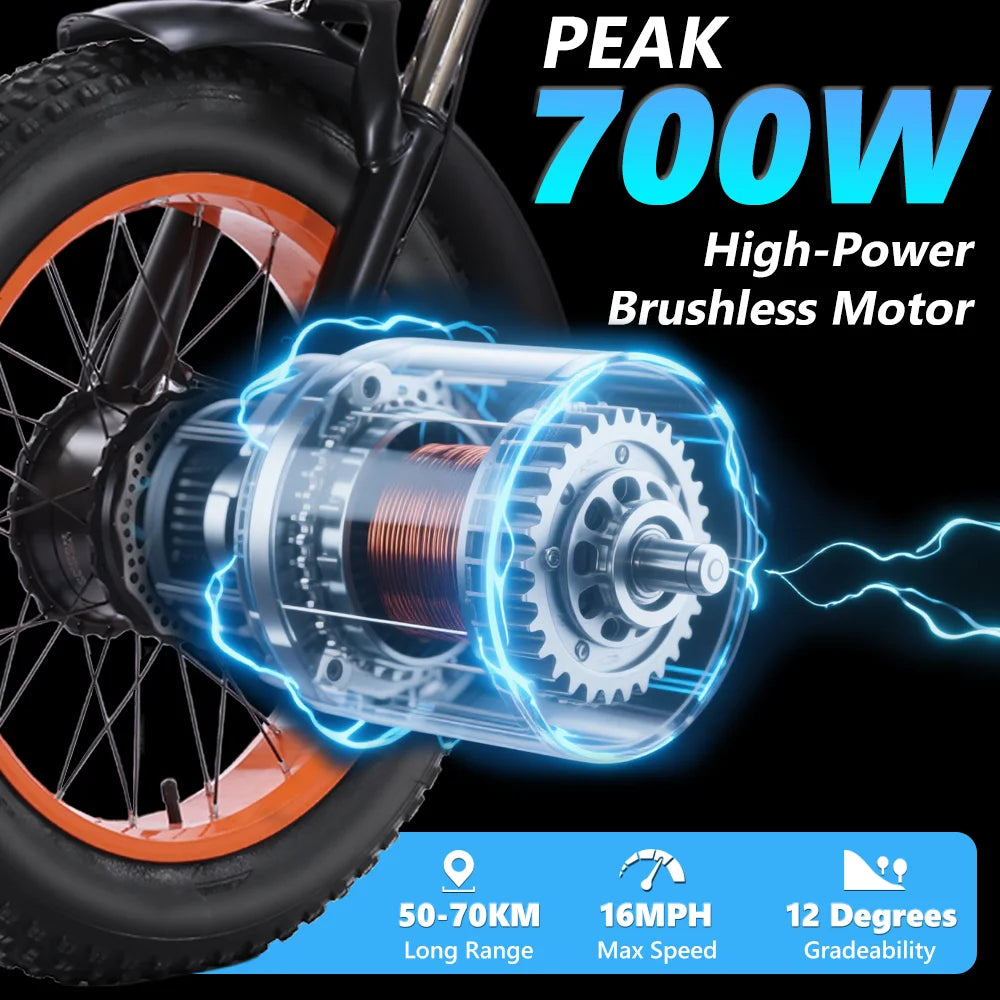 Powerful  Peak 750W 48V15AH Versatile Electric Tricycle for Adults, Stable 3 Wheel E-Bike for Daily Commute, Riding and Shopping