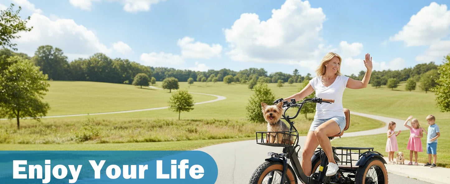 Foldable Electric Tricycle for Adults, Peak 1350W Electric Bicycle with Removable 48V 16Ah Battery