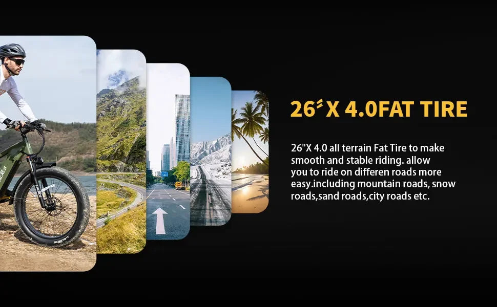 Lacros Thunder adult E-bike，750W city ebike，48V20AH Electric Bicycle，26 Fat Tire E-Mountain bike