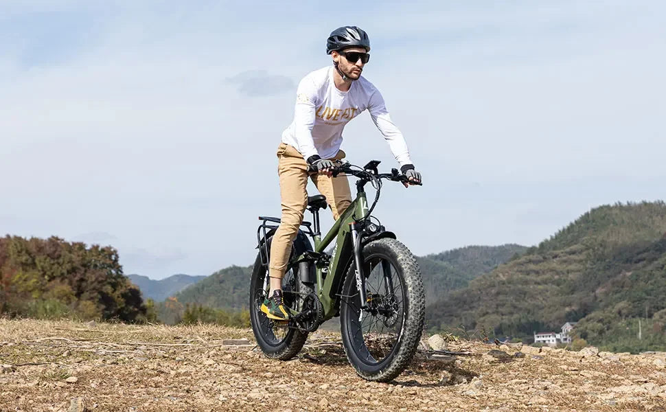 Lacros Thunder adult E-bike，750W city ebike，48V20AH Electric Bicycle，26 Fat Tire E-Mountain bike