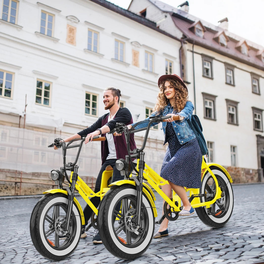 HD-C8 E-Bike 700W Motor 48V17Ah Removable Battery City Electric Bicycle Aldult 20*4.0-inch Fat Tires All Terrain Electric Bike