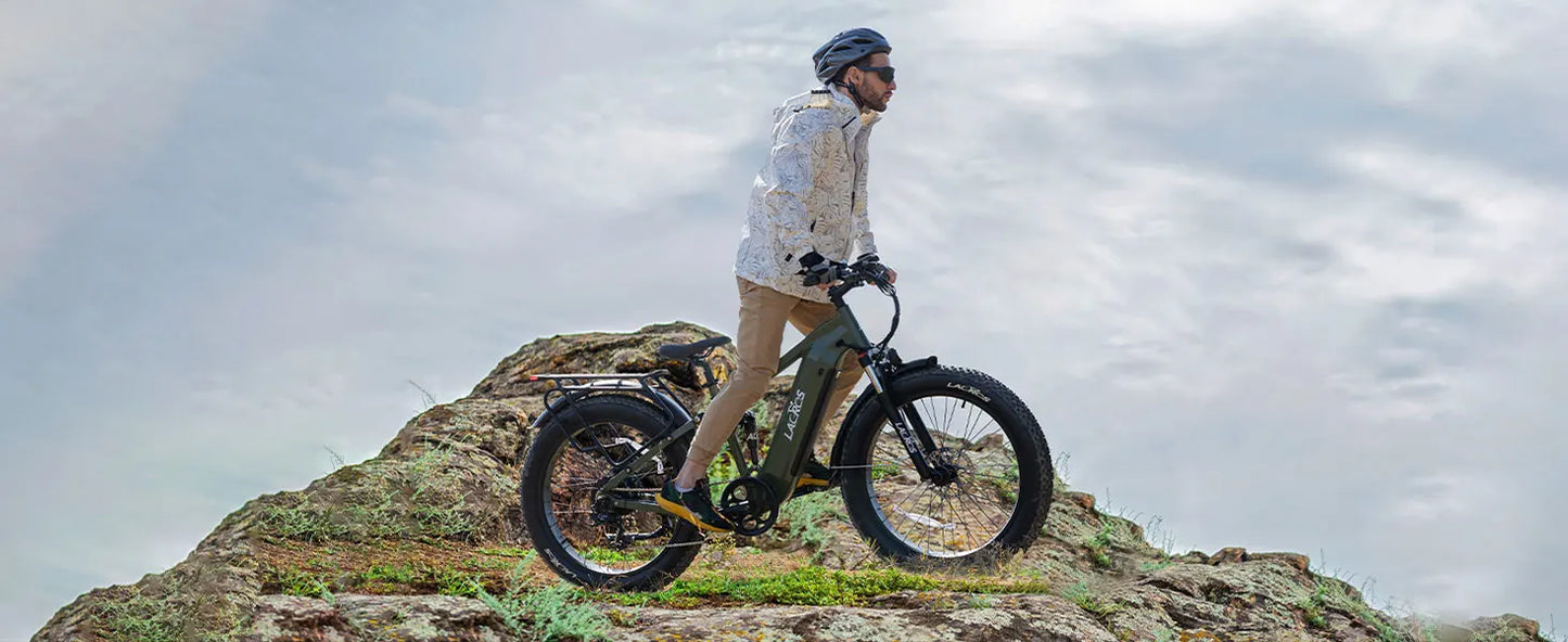 Lacros Thunder adult E-bike，750W city ebike，48V20AH Electric Bicycle，26 Fat Tire E-Mountain bike