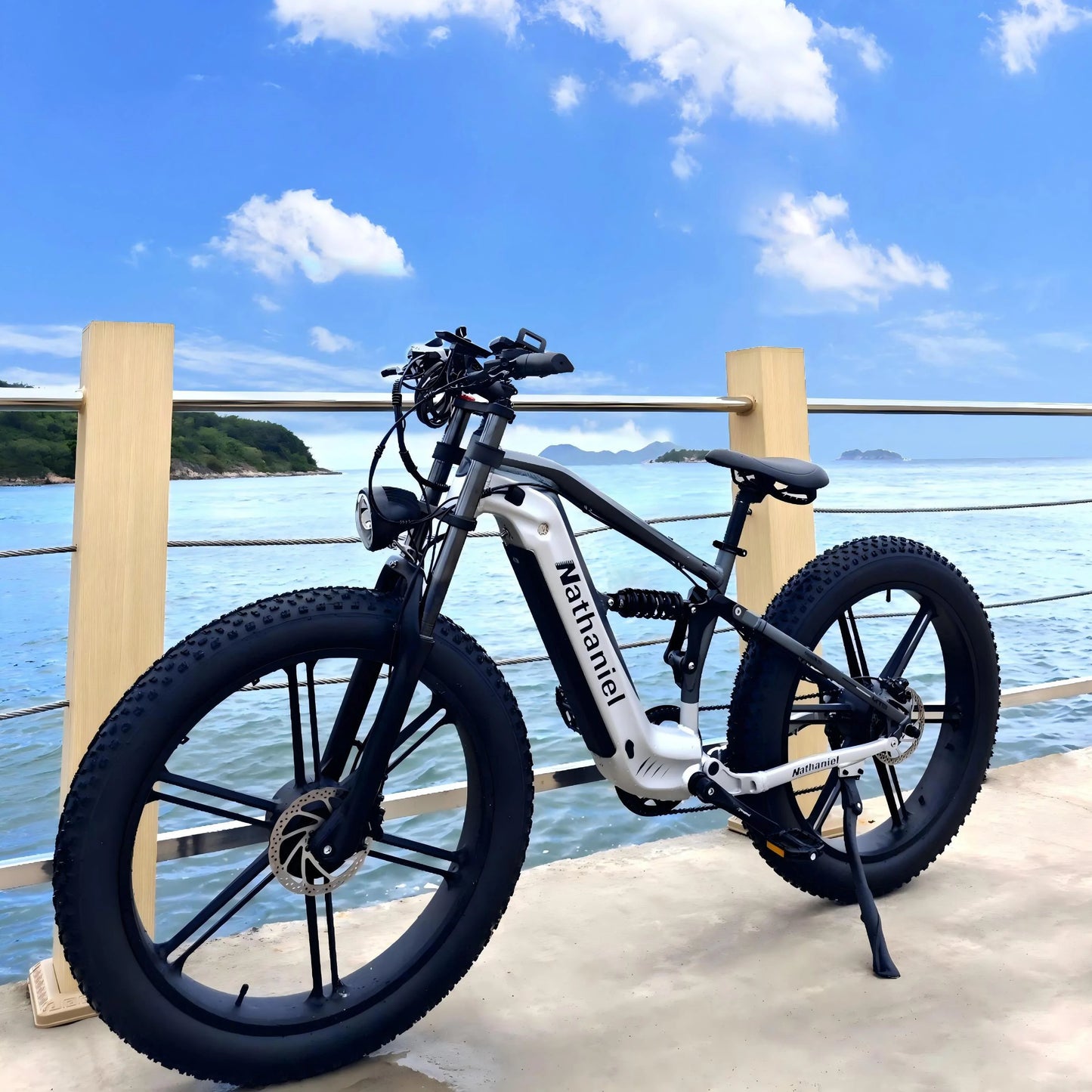 Nathaniel SYR09  26*4.0 electric bike, dual motor 2000W integrated wheel, 48V 20Ah, adjustable shock absorption, suitable for be
