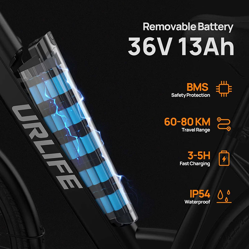 Electric Bike 250W Brushless Motor 36V13AH Lithium Battery High Carbon Steel Frame Electric Bicycle 26inch Off-road Tire E-bike