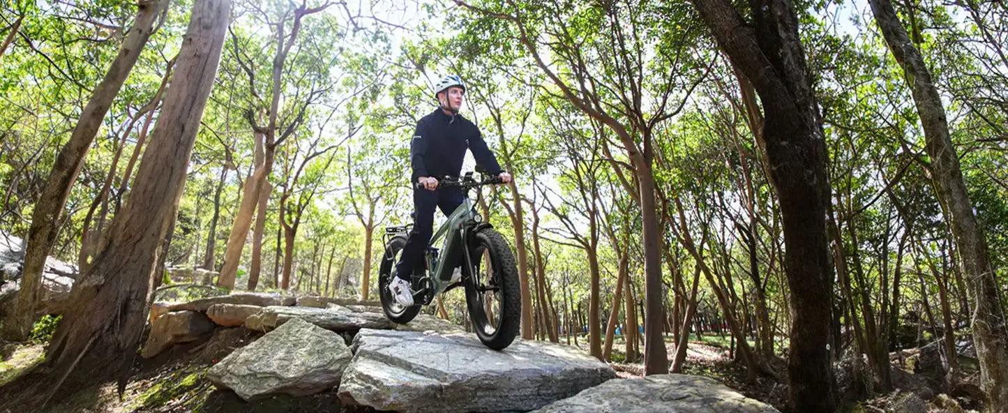 Lacros Thunder adult E-bike，750W city ebike，48V20AH Electric Bicycle，26 Fat Tire E-Mountain bike