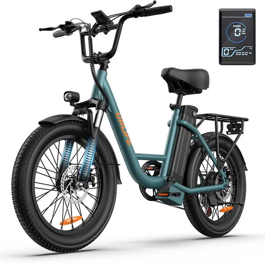 URLIFE E20 adult E-bike 250W 48V 13Ah battery commute Electric Bike,20-inch Fat Tire city ebike